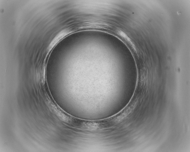 X0000086971370200704231505