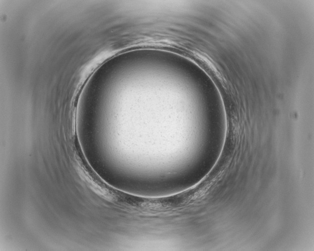 X0000086971371200704231505