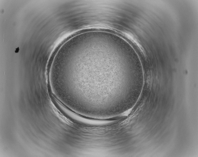 X0000086971372200704231505