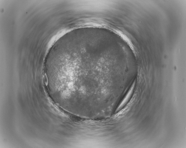 X0000086971373200704231505