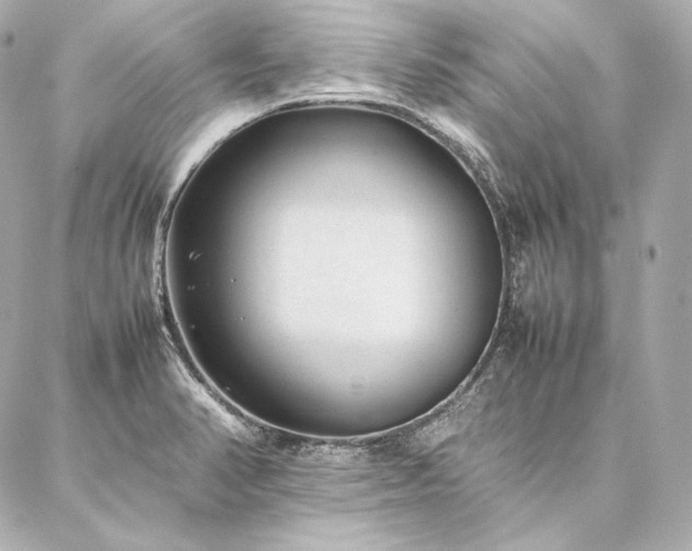 X0000086971374200704231505