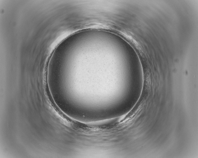 X0000086971375200704231505