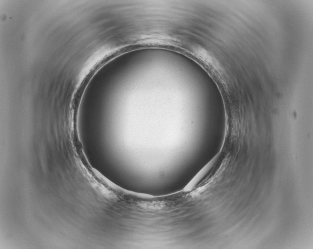 X0000086971376200704231505