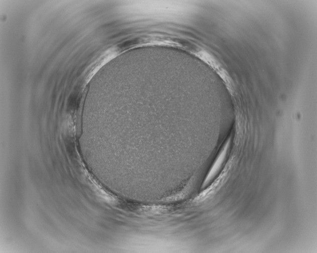 X0000086971377200704231505