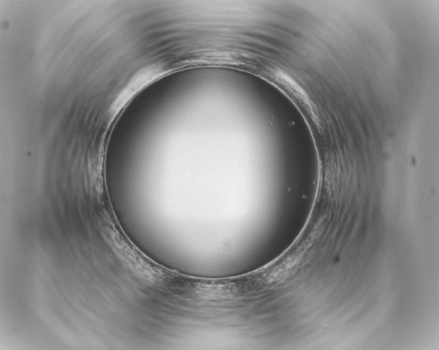 X0000086971378200704231505