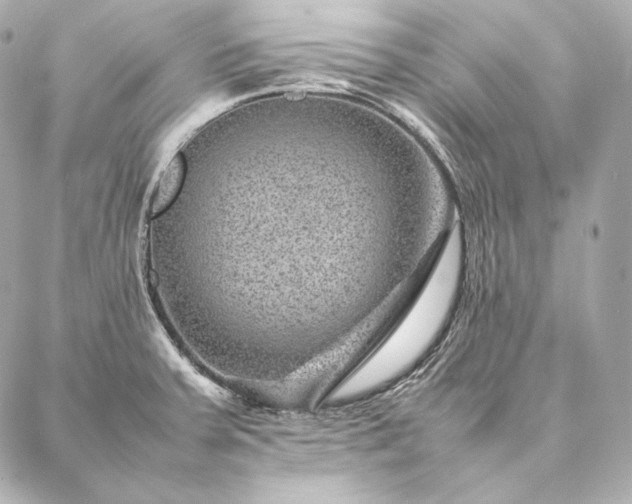 X0000086971379200704231505