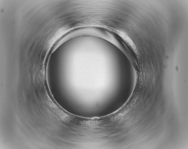 X0000086971380200704231505