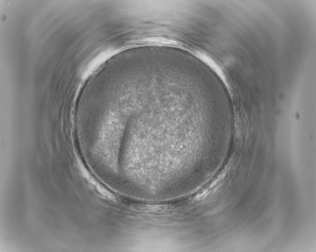 X0000086971381200704231505