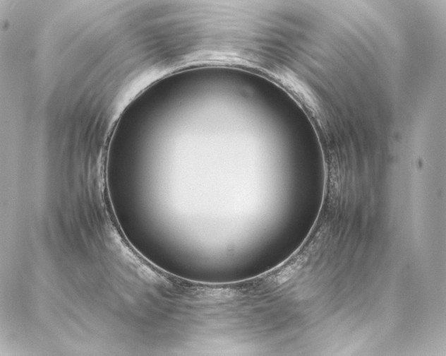 X0000086971382200704231505