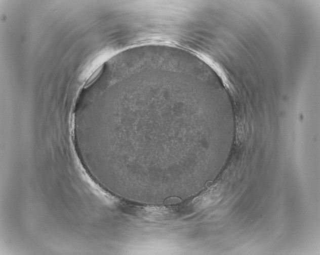 X0000086971383200704231505