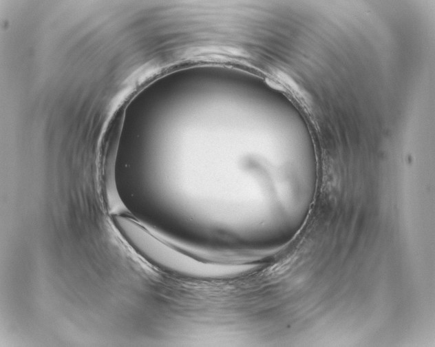 X0000086971384200704231505