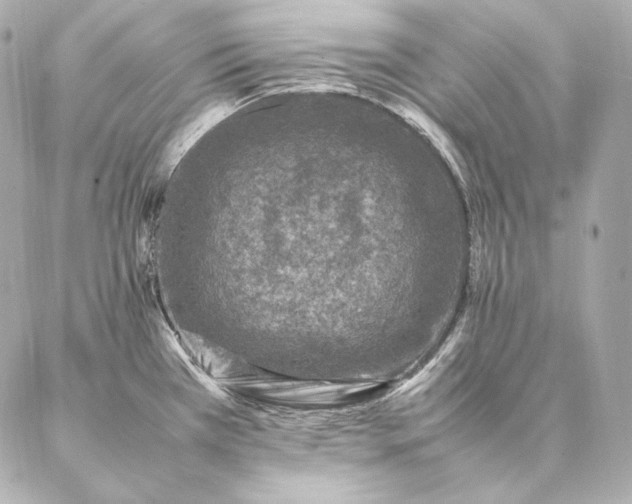 X0000086971385200704231505