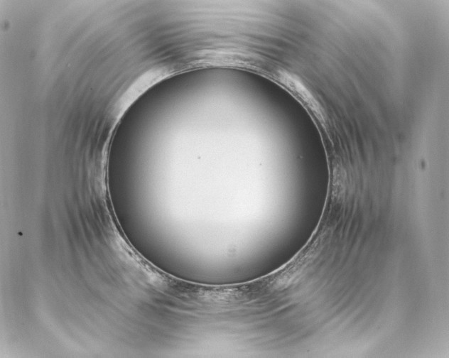 X0000086971386200704231504