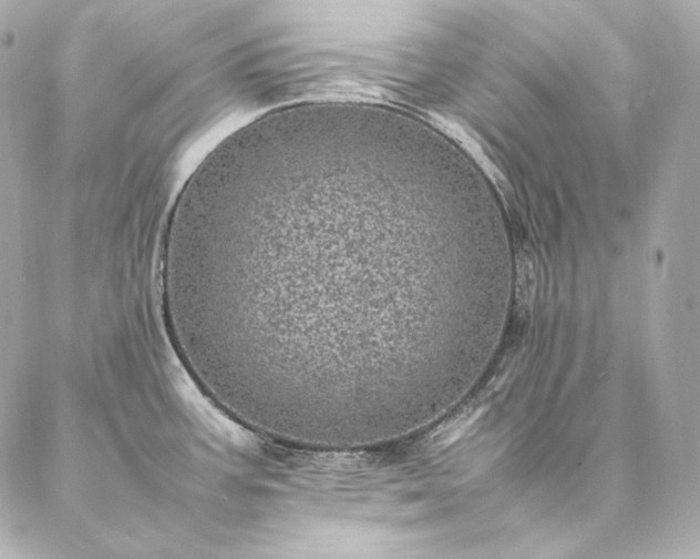 X0000086971387200704231504