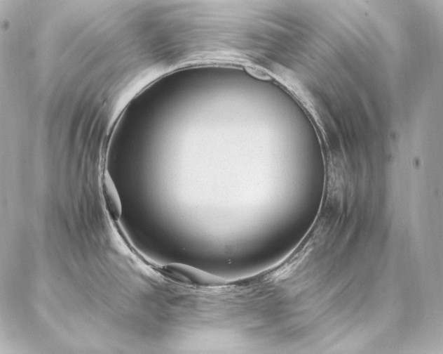 X0000086971390200704231504