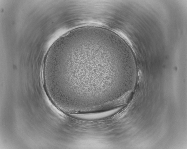 X0000086971391200704231504