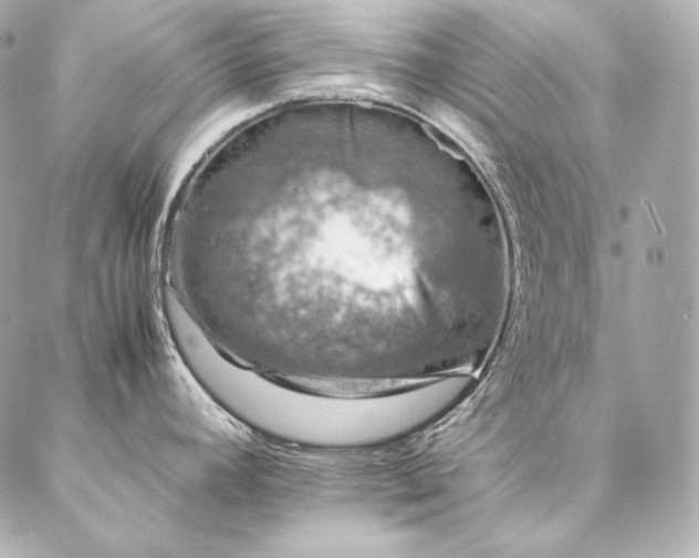 X0000086971392200704231504