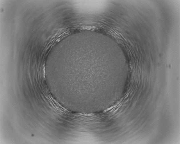 X0000086971394200704231504