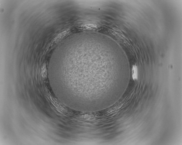 X0000086971395200704231504