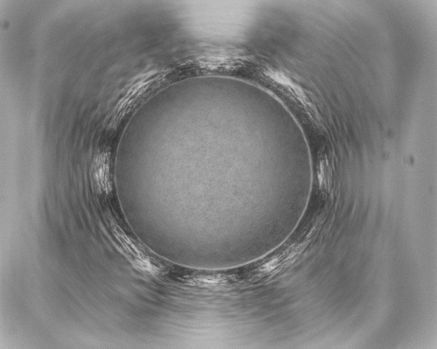 X0000086971396200704231504