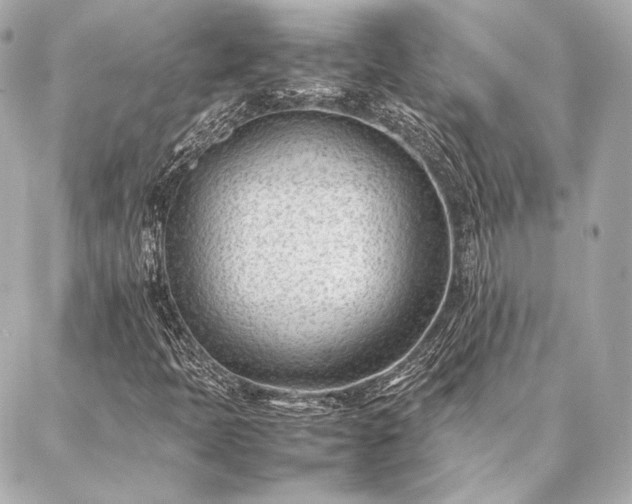 X0000086971397200704231504