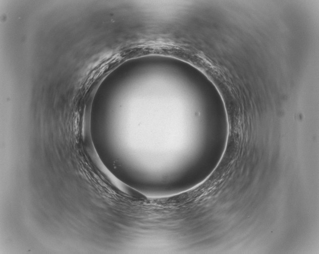 X0000086971398200704231504