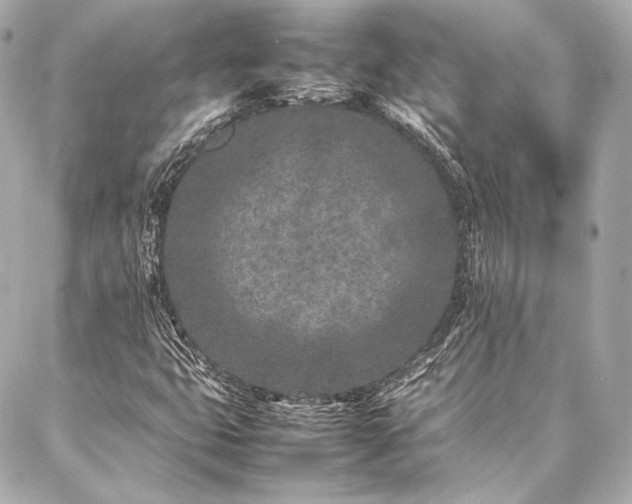 X0000086971399200704231504