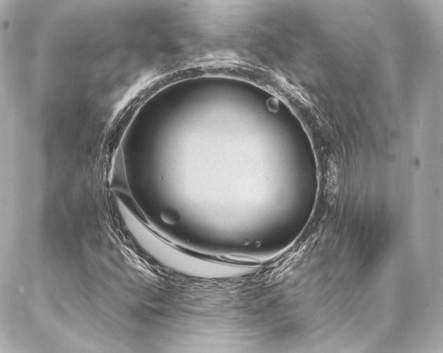 X0000086971400200704231504