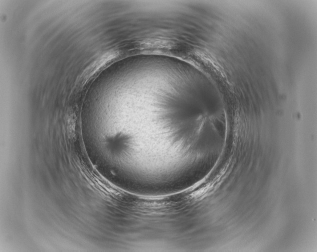 X0000086971401200704231504