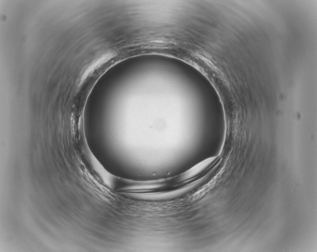 X0000086971402200704231504