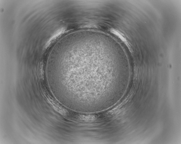 X0000086971403200704231504