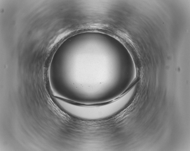 X0000086971404200704231504