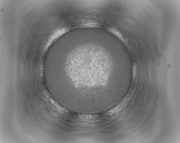 X0000086971405200704231504