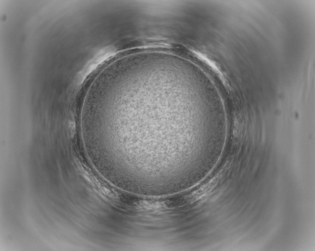 X0000086971407200704231504