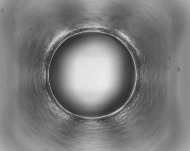 X0000086971408200704231504