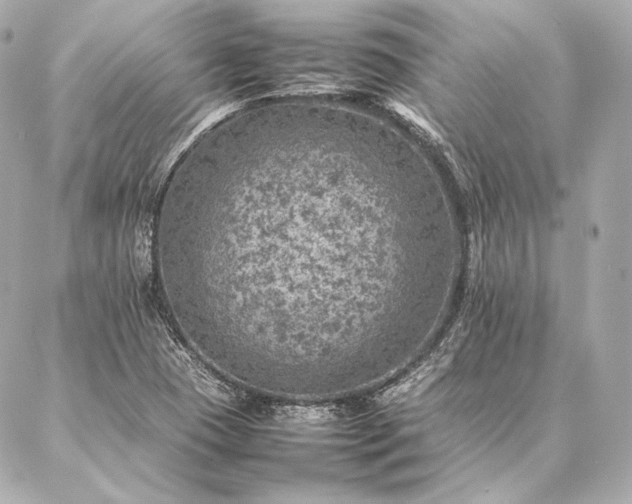 X0000086971409200704231504