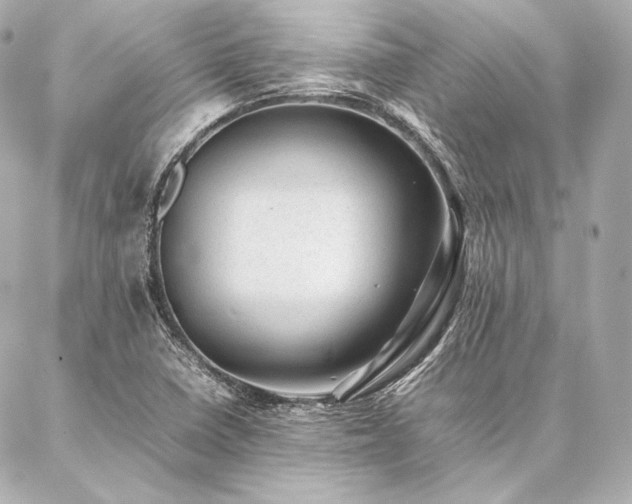 X0000086971410200704231504