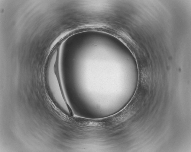 X0000086971412200704231504