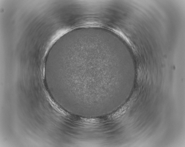 X0000086971413200704231504