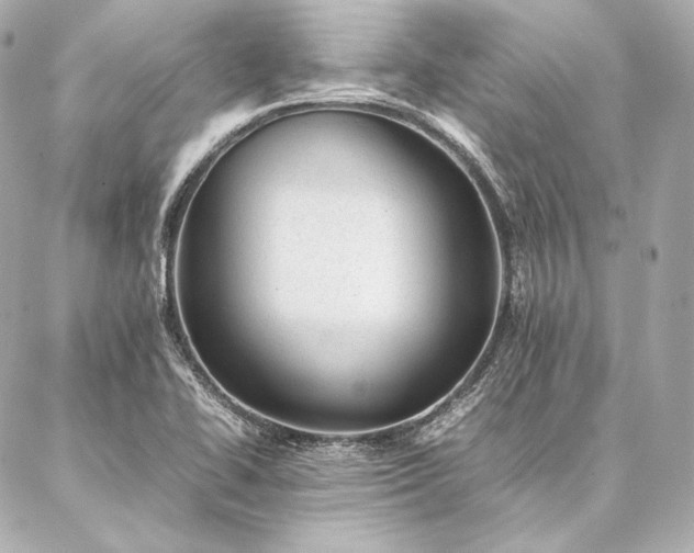 X0000086971414200704231504