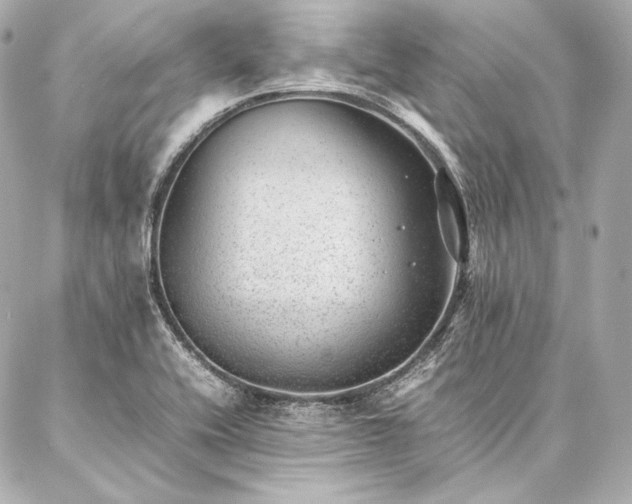 X0000086971416200704231504