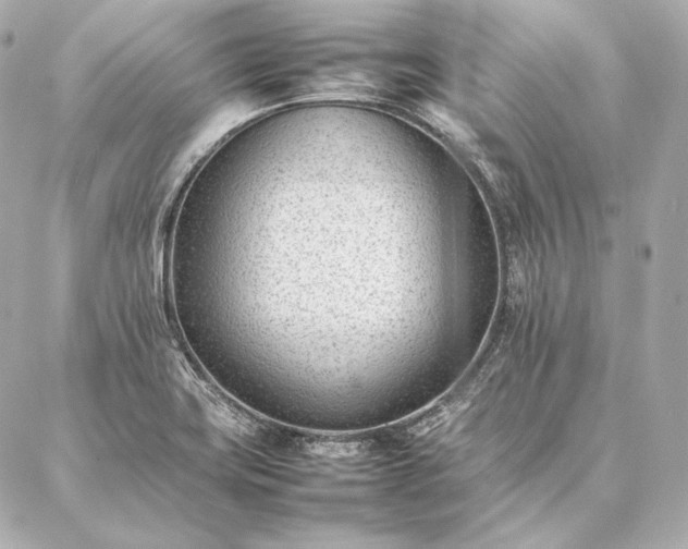 X0000086971419200704231504