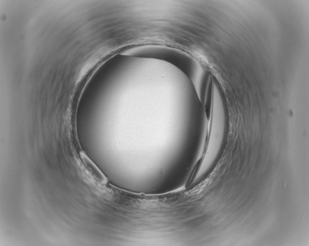 X0000086971422200704231504