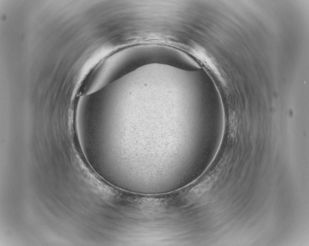 X0000086971424200704231504