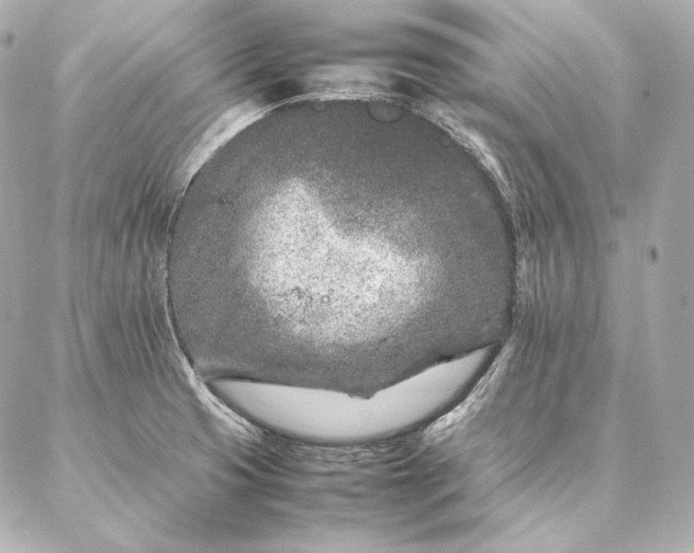 X0000086971425200704231504