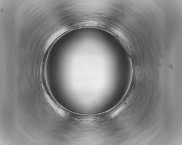 X0000086971426200704231504