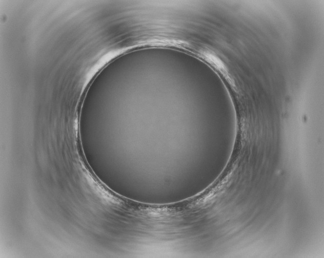 X0000086971428200704231504