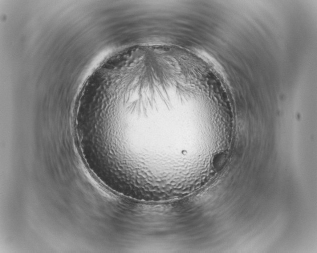X0000086971429200704231504