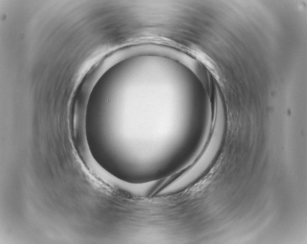 X0000086971430200704231504