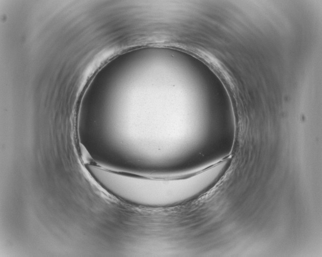 X0000086971432200704231504